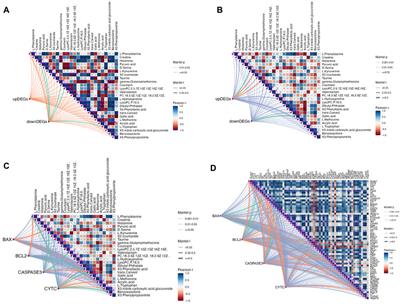 Mechanistic study of leukopenia treatment by Qijiao shengbai Capsule via the Bcl2/Bax/CASAPSE3 pathway